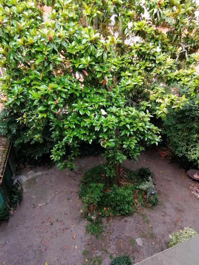 Appartamento Magnolia Garden Loft Ferrara Esterno foto